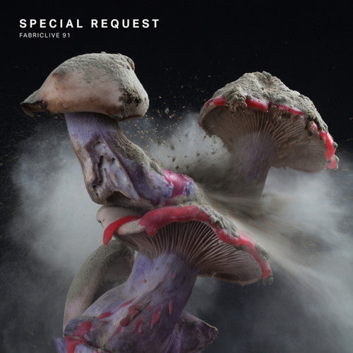 Special Request: Fabriclive 91 - CD
