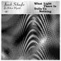Janek Schaefer: What Light There Is Tells Us Nothing - VINYL