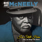 Big Jay McNeely: I'm Still Here - Big Jay Sings the Blues - CD