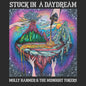 Molly Hanmer & the Midnight Tokers: Stuck In A Daydream - CD