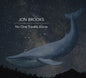 Jon Brooks: No One Travels Alone - VINYL