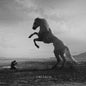 Yeruselem: Sublime - CD