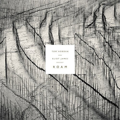 Tom Hobden: Present: Roam - VINYL