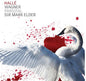 Wagner / Halle / Sir Mark Elder: Wagner: Parsifal (Box Set) - CD
