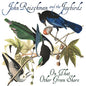 John Reischman & the Jaybirds: On That Other Green Shore - CD