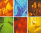 Various Artists: Classical Moments To Live By / Various - CD