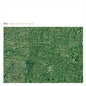 M. Grig: Mount Carmel - CD