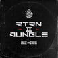 Chase & Status: Rtrn II Jungle - VINYL