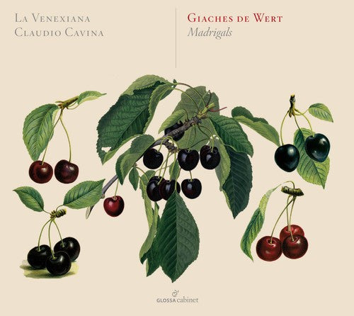 Wert / La Venexiana / Cavina: Giaches de Wert: Madrigali - CD