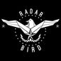 Radar Bird: Homesick - 12-INCH SINGLE