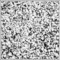 Clipping.: Face - CASSETTES