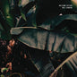 Will Samson: Welcome Oxygen - VINYL