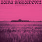 Ikebe Shakedown: Kings Left Behind - VINYL