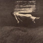 Evans, Bill / Hall, Jim: Undercurrent (Cover Photo By Jean-Pierre Leloir) - CD