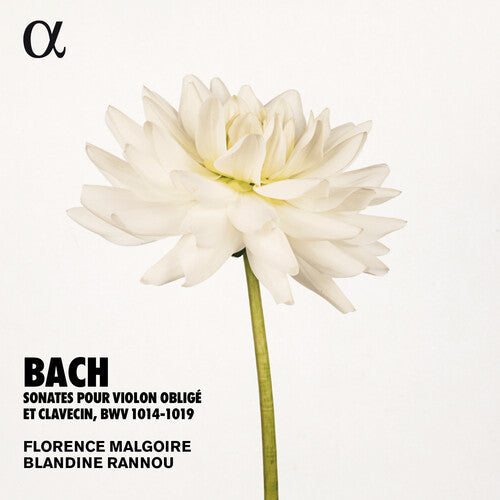 Bach, J.S. / Rannou / Malgoire: Sonates Violon Oblige - CD