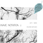 Satoshi Ashikawa: Still Way (Wave Notation 2) - VINYL