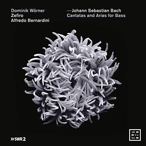 Bach, J.S. / Bernardini / Worner: Cantatas & Arias for Bass - CD