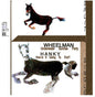 Wheelman/Hanky: Split Single - 12-INCH SINGLE