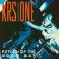 KRS-One & Marley Marl: Return Of The Boom Bap - VINYL