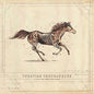 Turnpike Troubadours - A Long Way From Your Heart - VINYL
