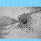 Four Tet: New Energy - CD
