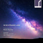 Bussey / Sonoro / Ferris: In No Strange Land - CD