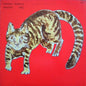 Yasuaki Shimizu - Kakashi - VINYL