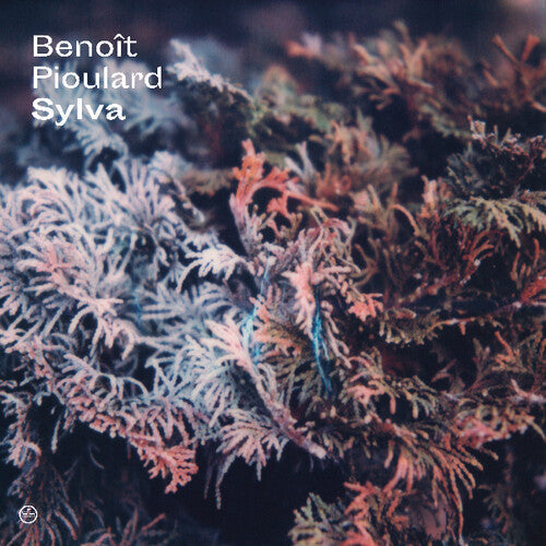 Benoit Pioulard: Sylva - VINYL