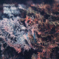 Benoit Pioulard: Sylva - CD