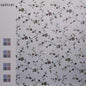 Spatzer: Derive - VINYL