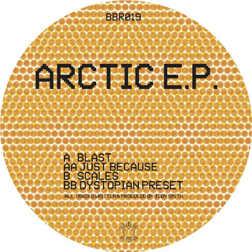 Secret Static: Arctic - VINYL
