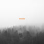Desolate: Exceptionalism - VINYL