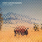 Steep Canyon Rangers: Out In The Open - CD