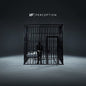 Nf: Perception - CD