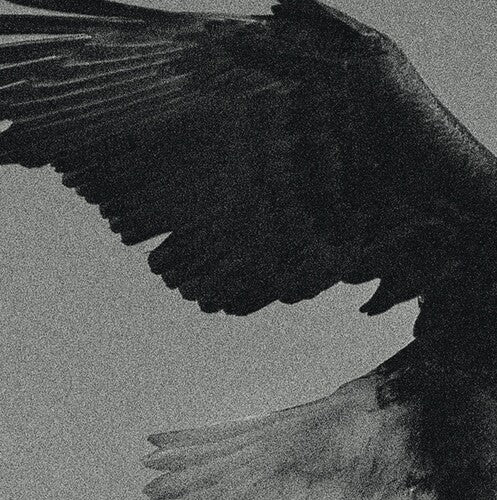 Dissemblance: Over The Sand - VINYL