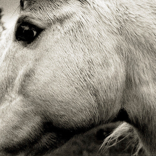 Bonny Light Horseman: Bonny Light Horseman - CD