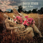 David Starr: Beauty & Ruin - CD