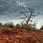 Brice Randall Bickford: Paro - VINYL