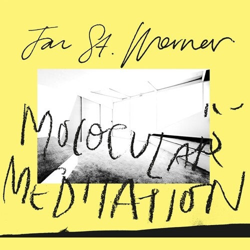 Jan St. Werner: Molocular Meditation - VINYL