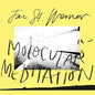 Jan St. Werner: Molocular Meditation - VINYL