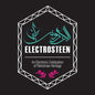 Various Artists: Electrosteen (Various Artists) - VINYL