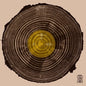 Various Artists: Muna Musik 011 (Various Artists) - 12-INCH SINGLE