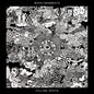 Woolymammoth: Filling Spots - CD