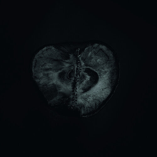 Sadon & Treha Sektori: Symphony Of Dying - VINYL