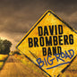 David Bromberg: Big Road - CD