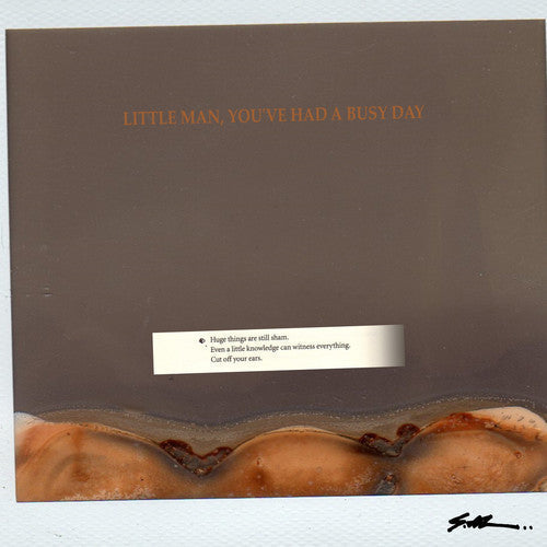 S.Al: Little Man You've Had A Busy Day - VINYL