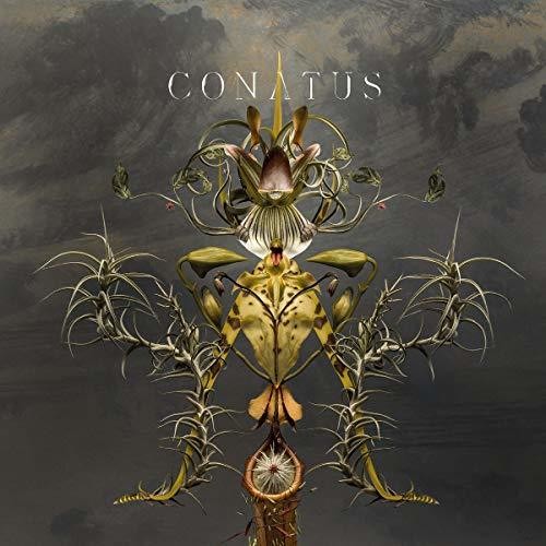 Joep Beving: Conatus - VINYL