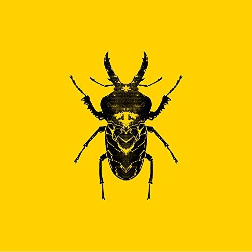 Golden Features: Sect - CD