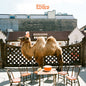 Wilco - Wilco - Picture Disc LP