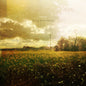 Epic45: Through Broken Summer - CD